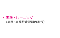 実践トレーニング（実務・実務想定課題の実行）