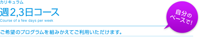 カリキュラム：週2,3日コース（ご希望のプログラムを組みかえてご利用いただけます。） 自分のペースで！