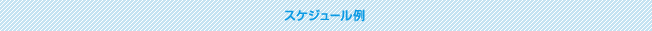スケジュール例