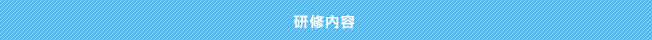 研修内容