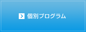 個別プログラム