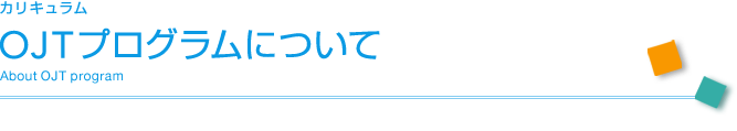 カリキュラム「OJTプログラムについて」