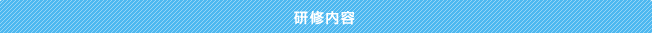 研修内容