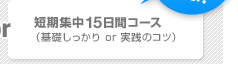 短期集中12日間コース（基礎しっかり or 実践のコツ）