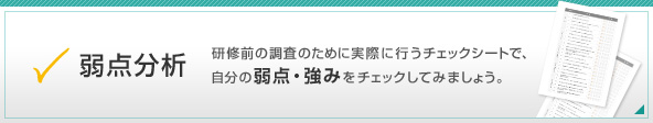 弱点分析　研修前の調査のために実際に行うチェックシートで、自分の弱点・強みをチェックしてみましょう。